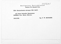 Image Associated With the Occurrence